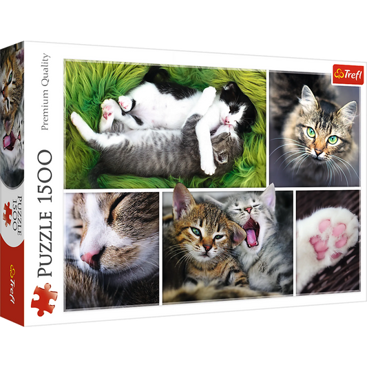 Just Cat Things - 1500 Piece