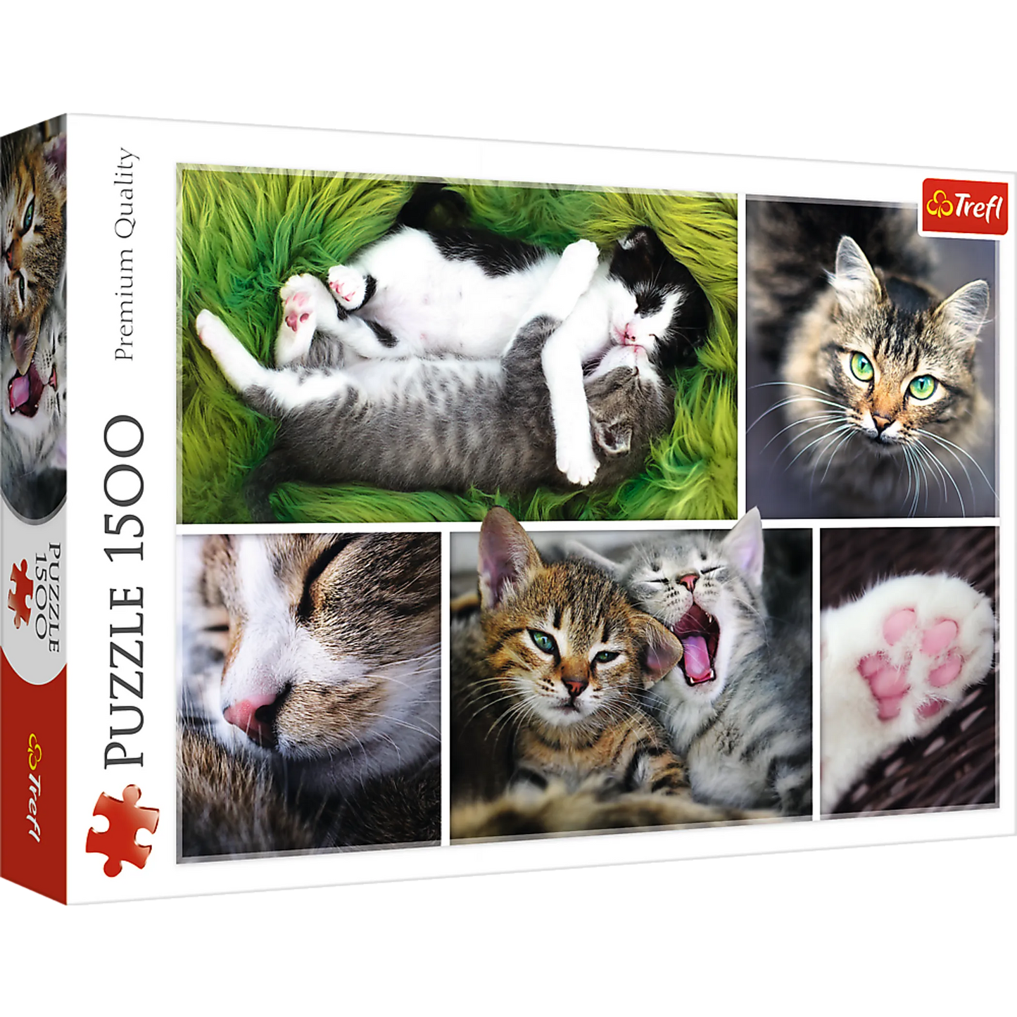 Just Cat Things - 1500 Piece