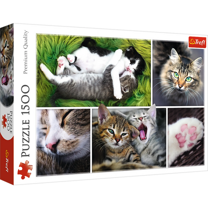 Just Cat Things - 1500 Piece