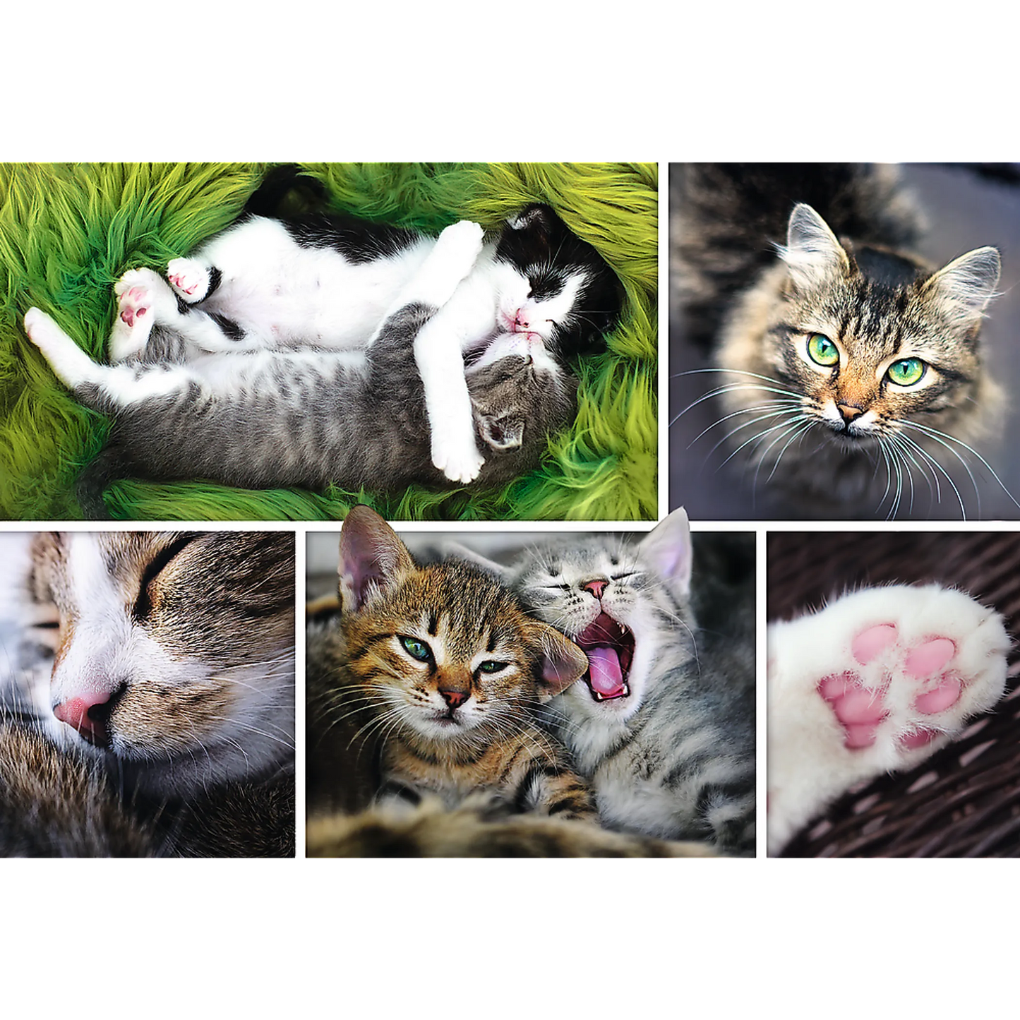 Just Cat Things - 1500 Piece