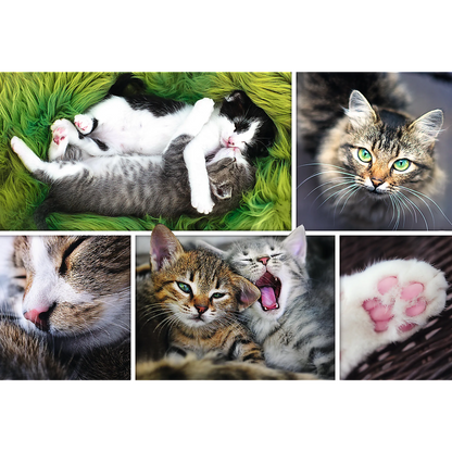 Just Cat Things - 1500 Piece