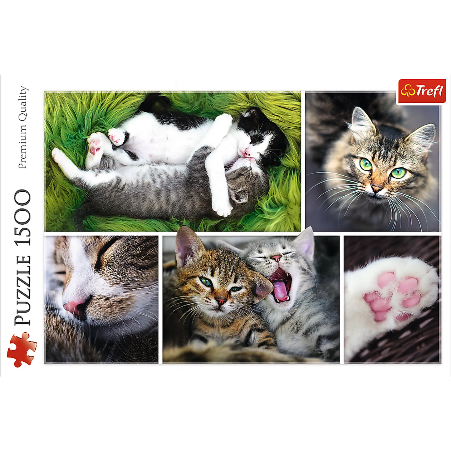 Just Cat Things - 1500 Piece
