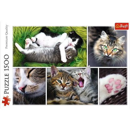 Just Cat Things - 1500 Piece
