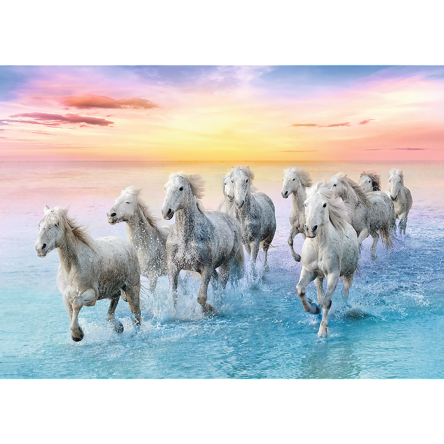 Galloping white horses - 500 Piece