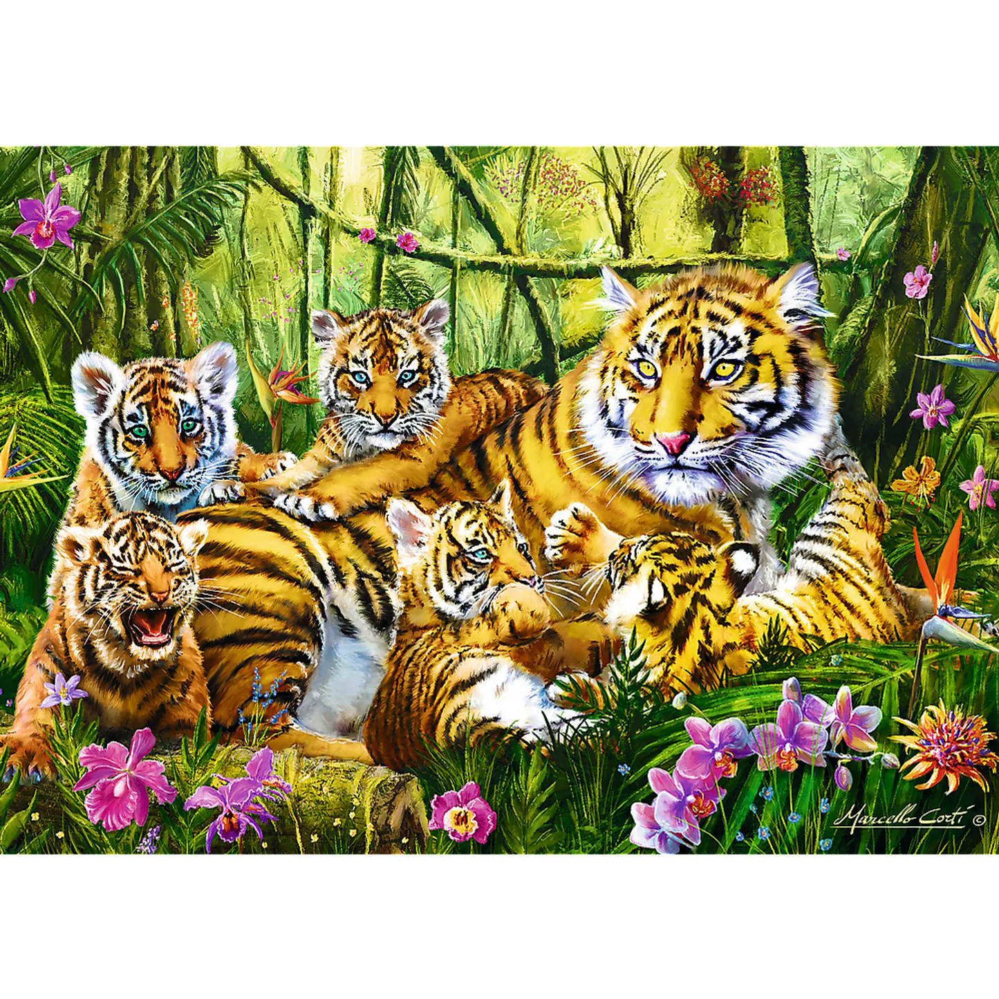 Family of Tigers - 500 Piece
