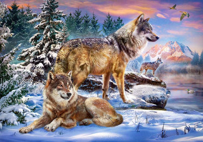 Wolves staring at their territory - 500 piece