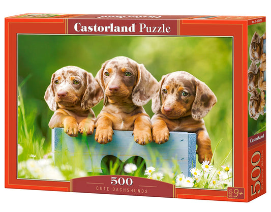 Sweet picture of Cute Dachshunds dogs - 500 Piece