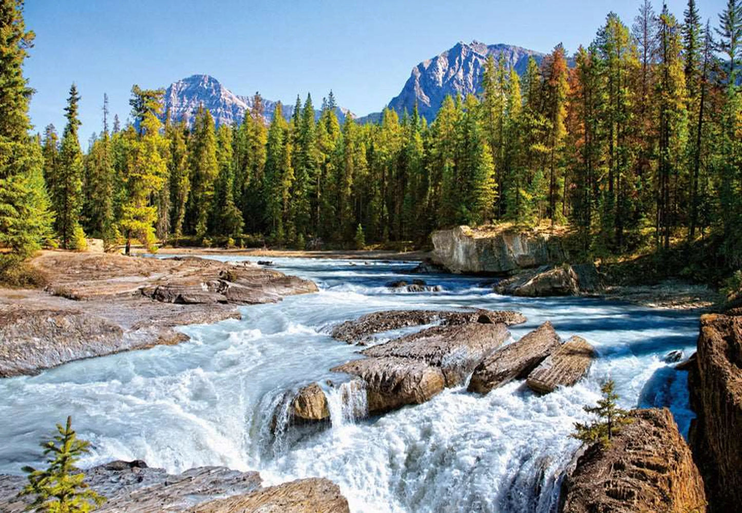 Athabasca River, Jasper National Park, Canada - 1500 Piece