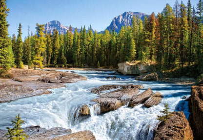 Athabasca River, Jasper National Park, Canada - 1500 Piece