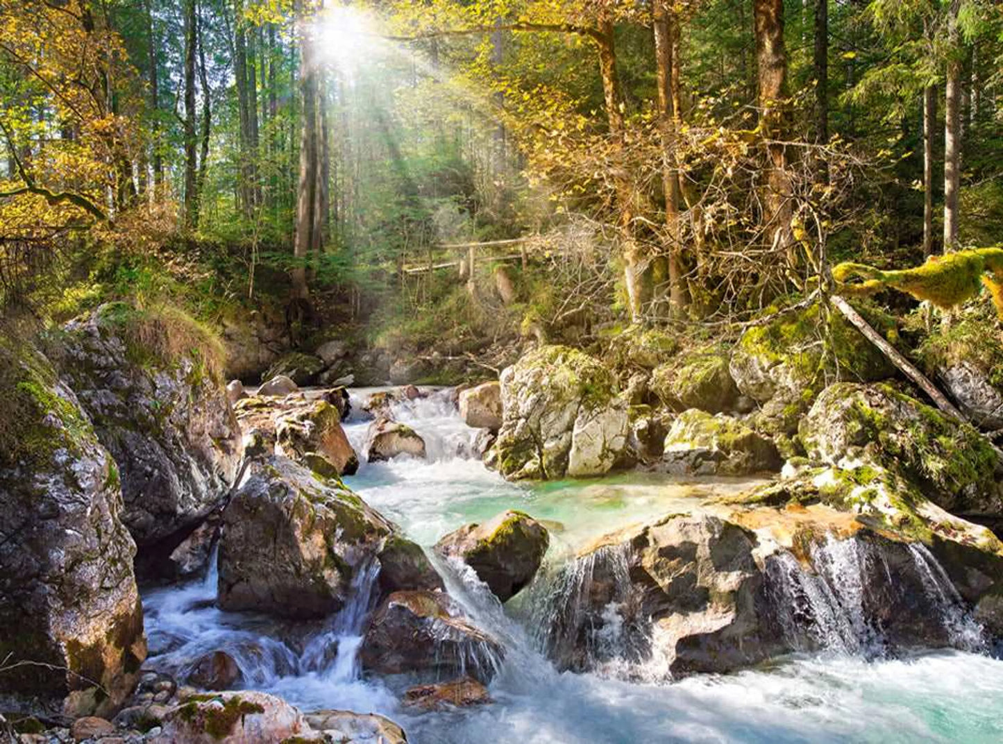 The Forest Stream - 2000 Piece