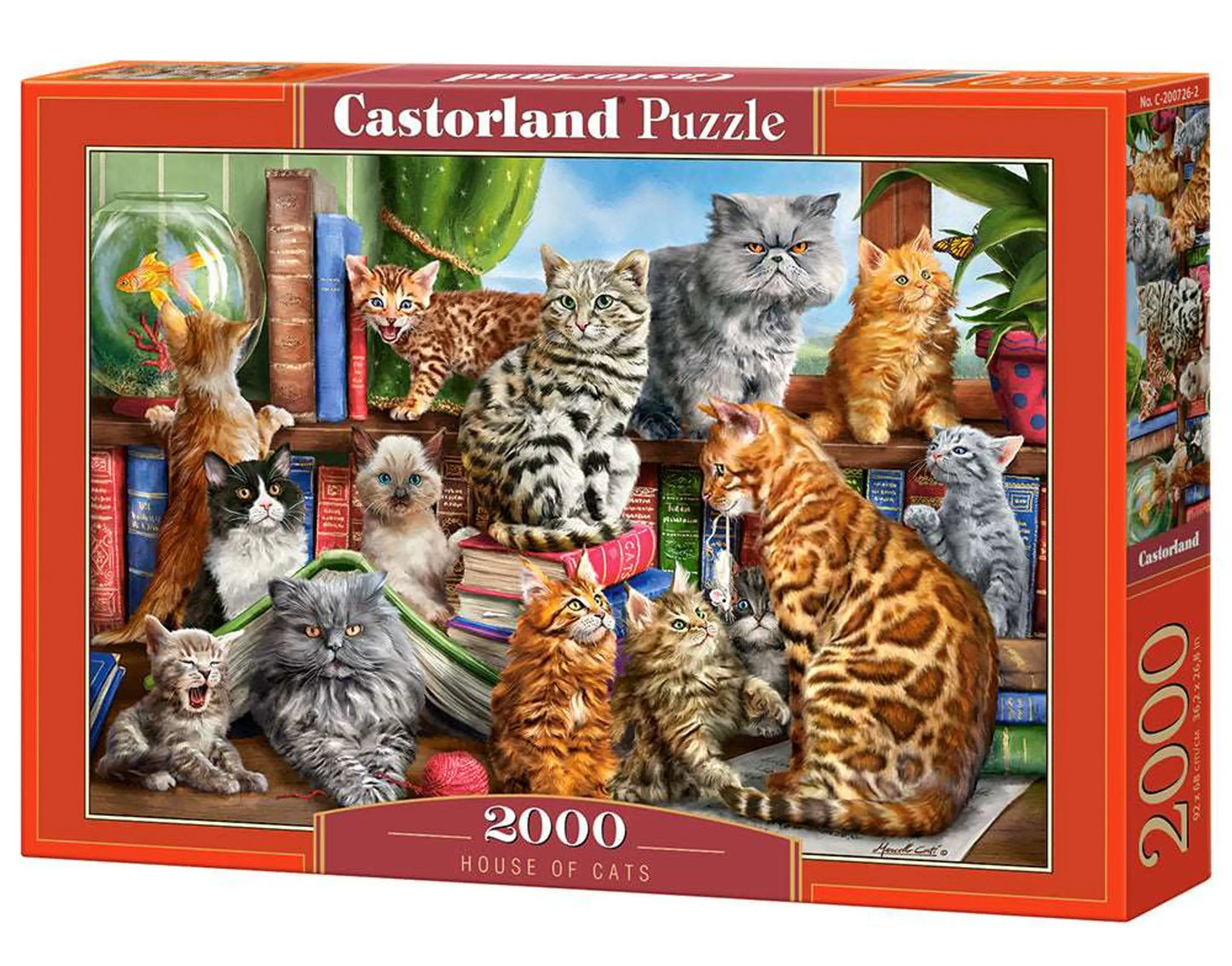 Compilation of cat - 2000 Piece