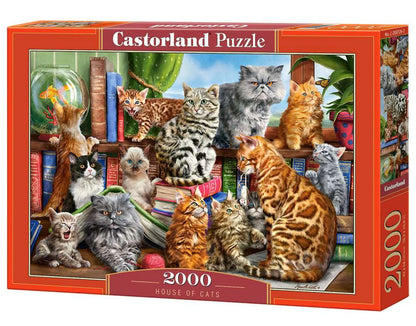 Compilation of cat - 2000 Piece
