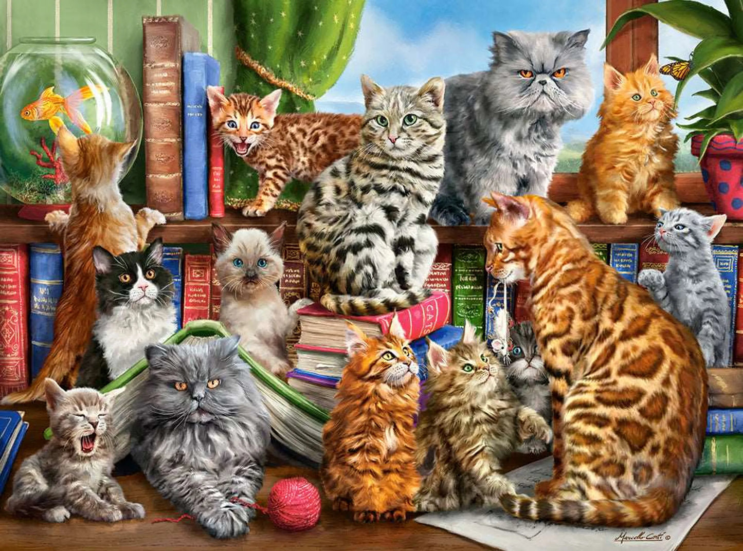 Compilation of cat - 2000 Piece